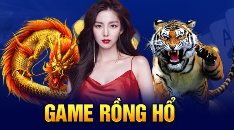 Các thuật ngữ thông dụng trong game rồng hổ Nohu90