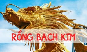 Ưu điểm và nhược điểm khi sử dụng dàn đề rồng bạch kim